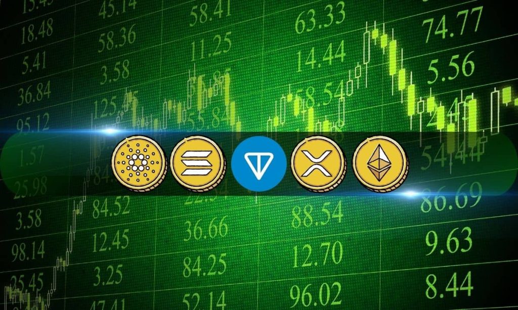 Market_Friday_TON.jpg