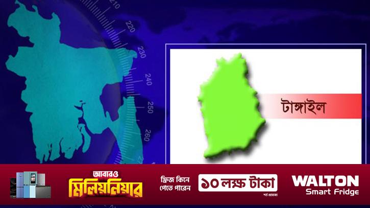 Tangail-Risingbd-Map-2503291623-fb.jpg