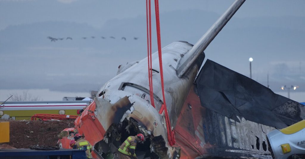 00-int-jeju-crash-birds-01-bfmc-facebookJumbo.jpg