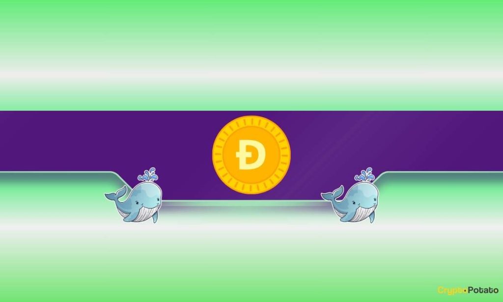 DOGE_CB-19.jpg