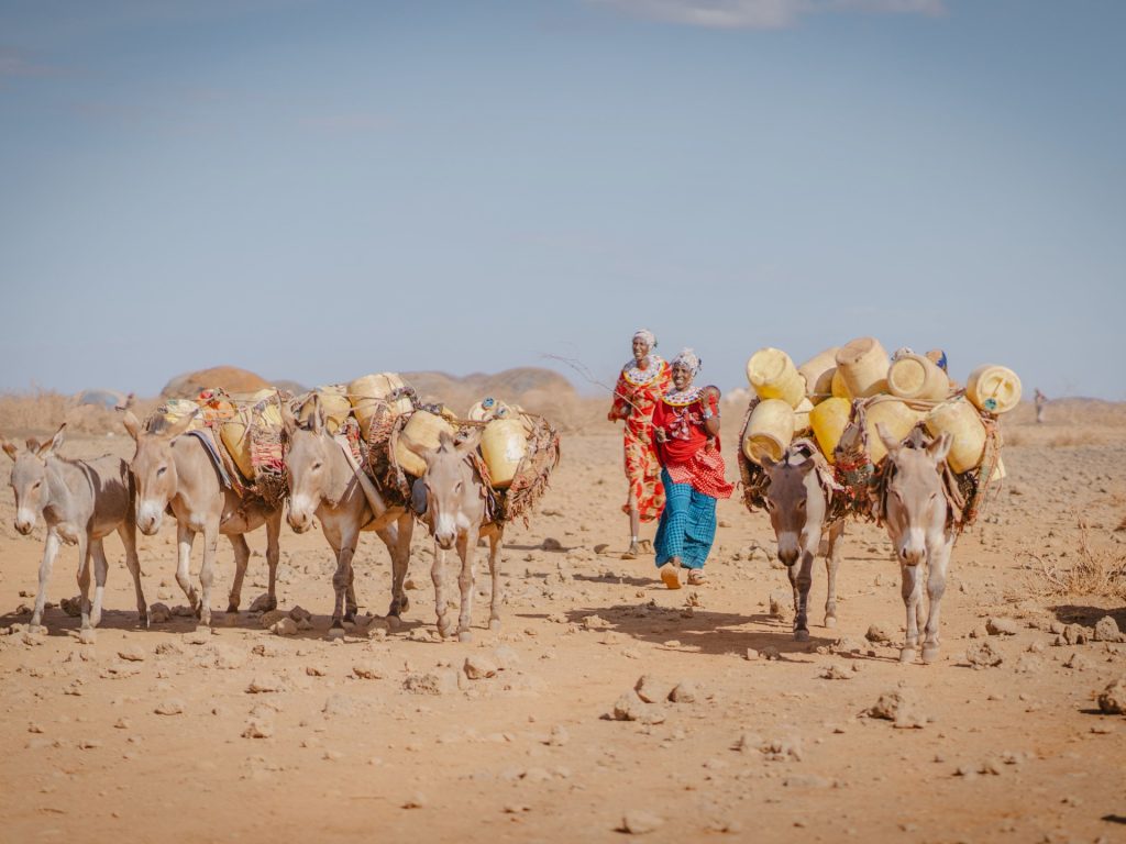 Dukano-Kelle-with-her-donkeys-1743070720.jpg
