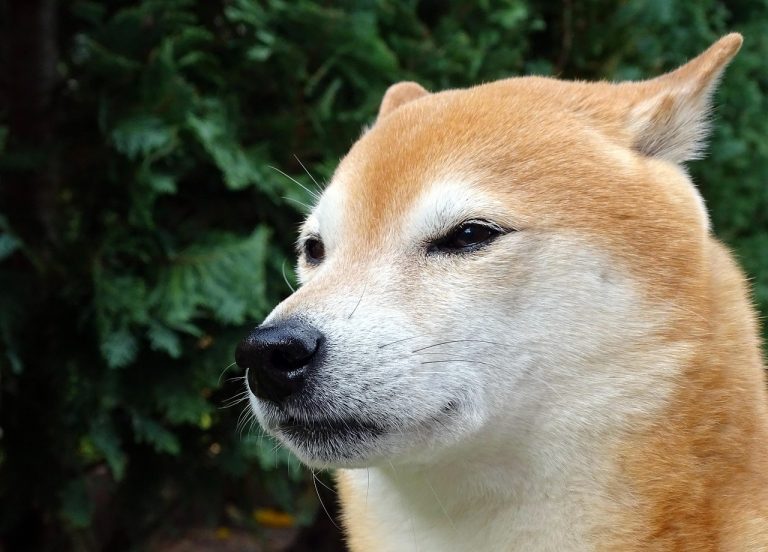 a_d8f9fd.jpg